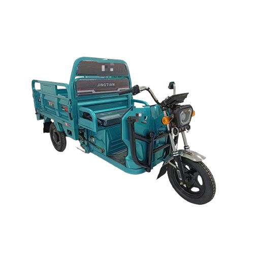 Electric cargo tricycle